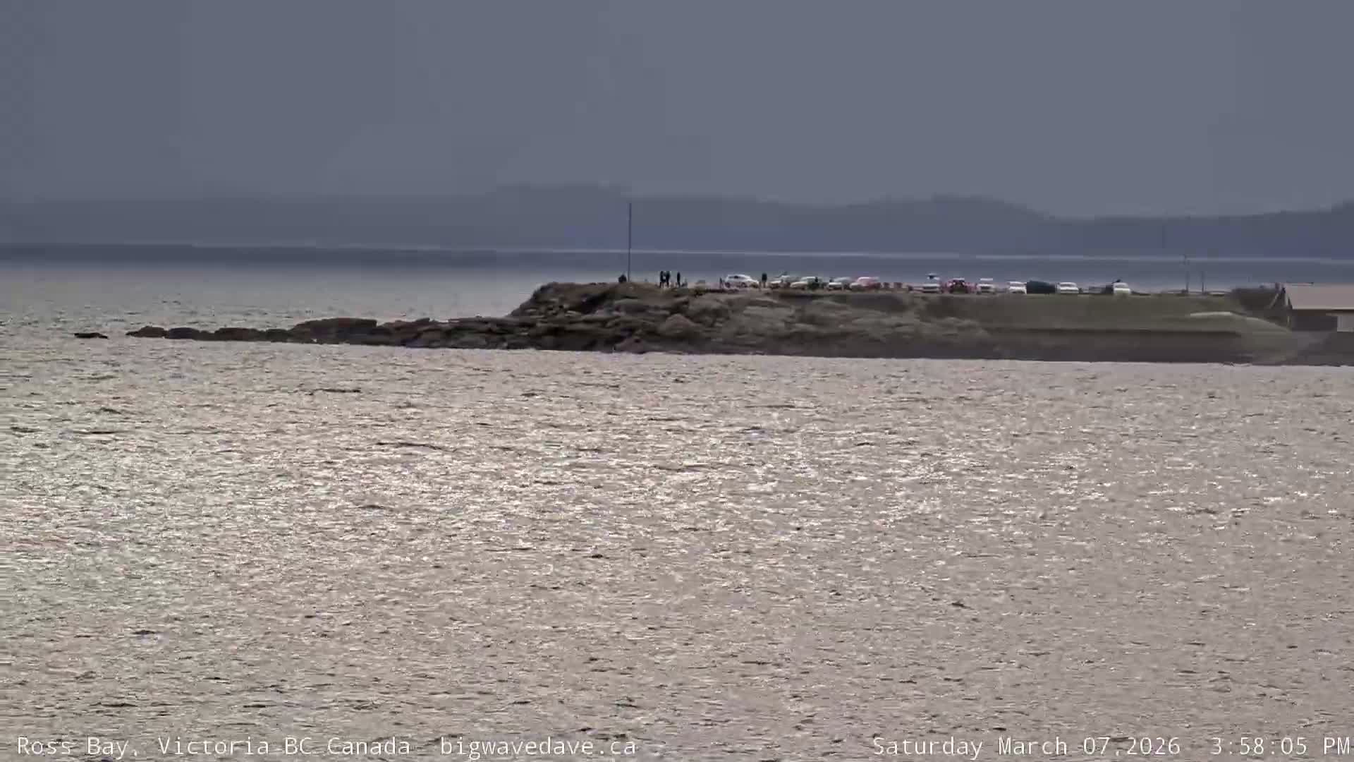 Fairfield District & Ross Bay Pasific & Trail Island Live Cam - Fairfield,  Victoria, Capital Regional District, British Columbia, Canada