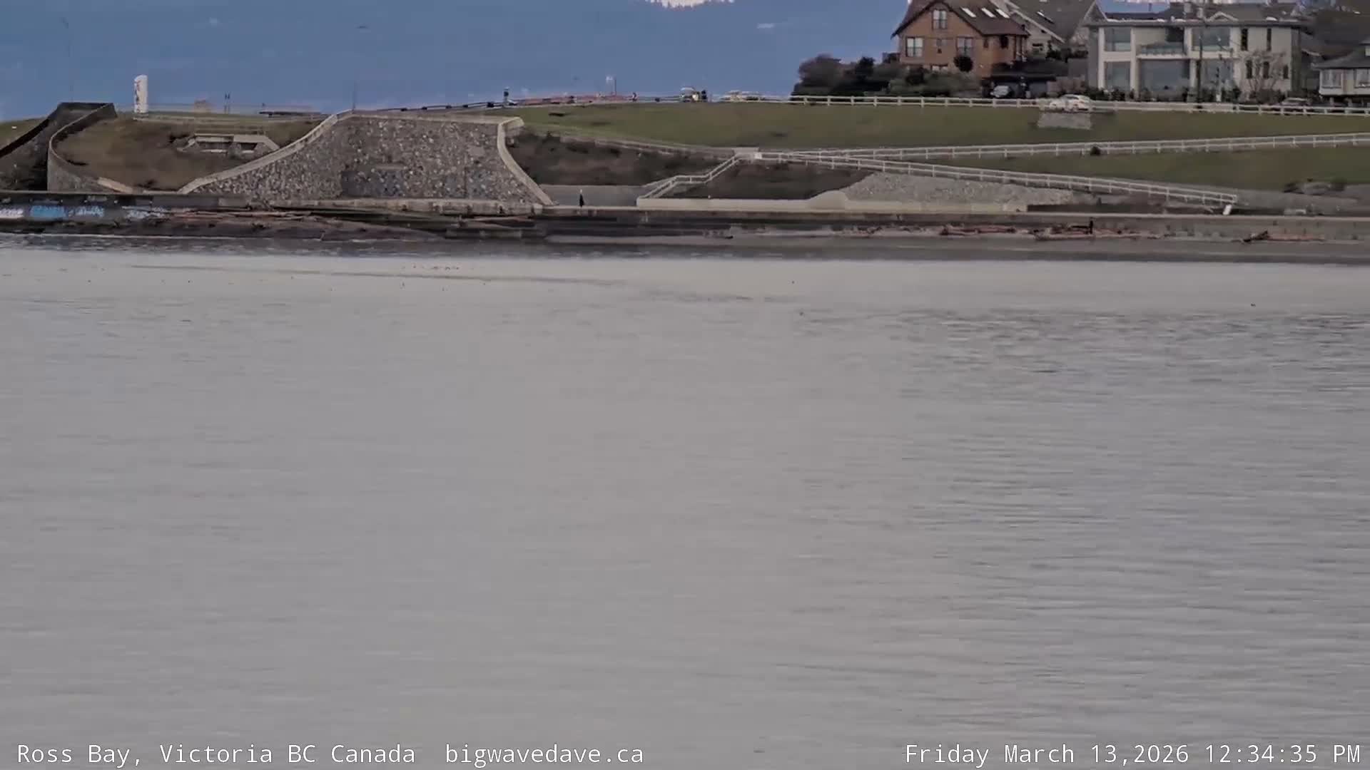 Fairfield District & Ross Bay Pasific & Trail Island Live Cam - Fairfield,  Victoria, Capital Regional District, British Columbia, Canada