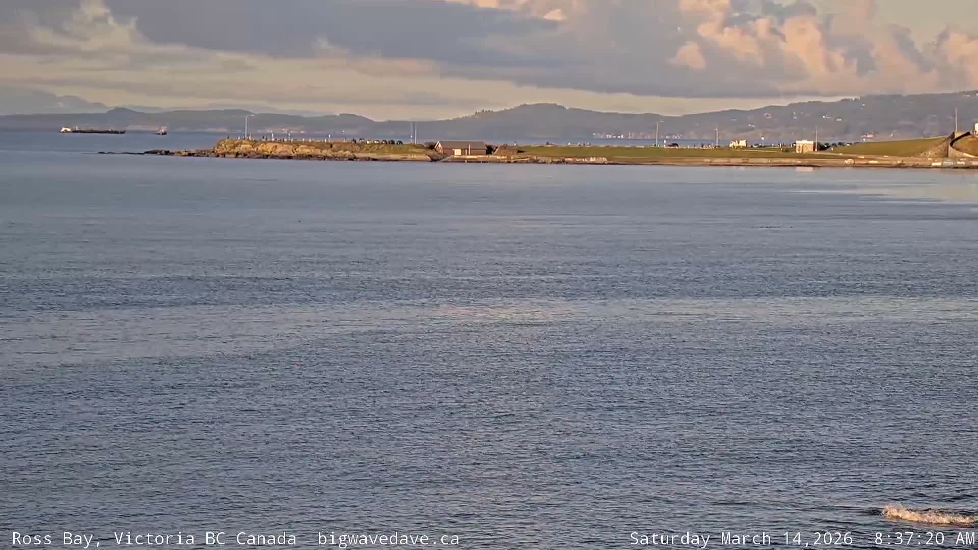 Fairfield District & Ross Bay Pasific & Trail Island Live Cam - Fairfield,  Victoria, Capital Regional District, British Columbia, Canada
