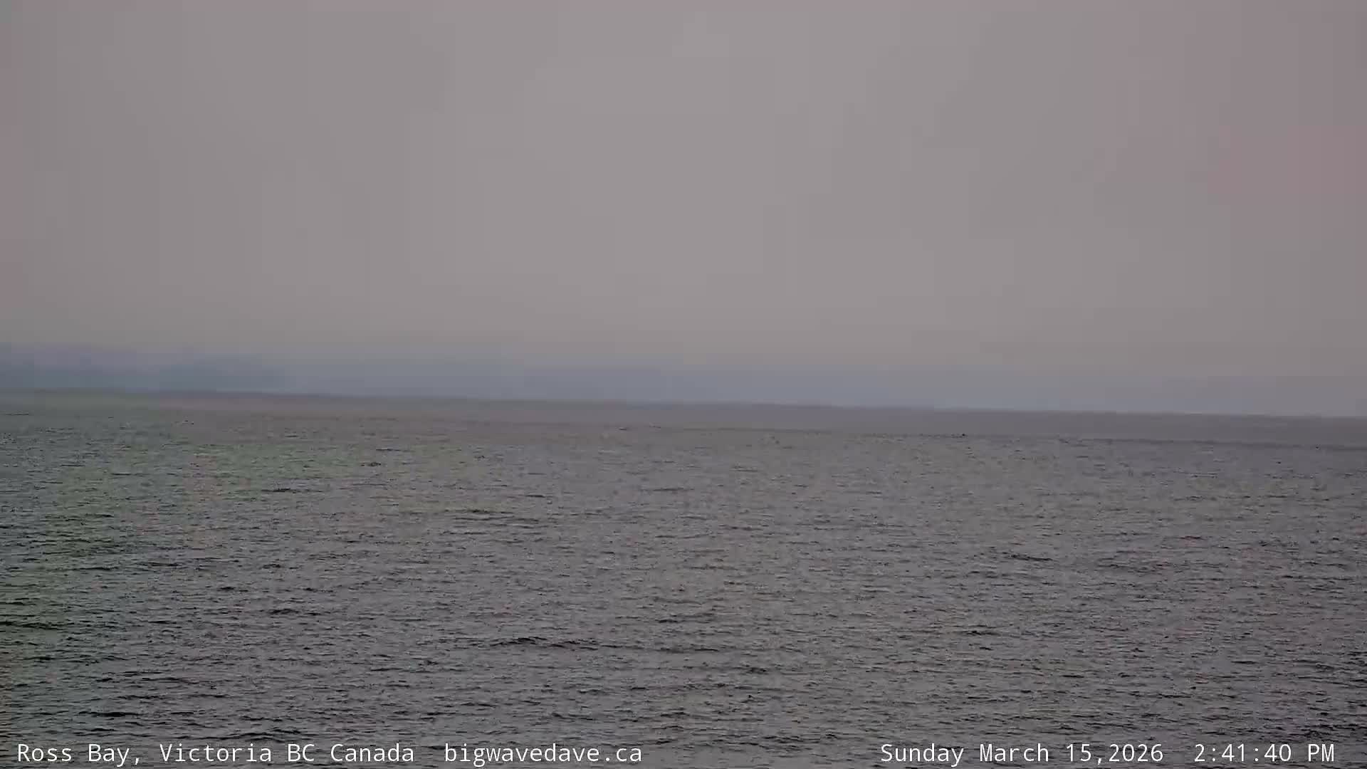 Fairfield District & Ross Bay Pasific & Trail Island Live Cam - Fairfield,  Victoria, Capital Regional District, British Columbia, Canada