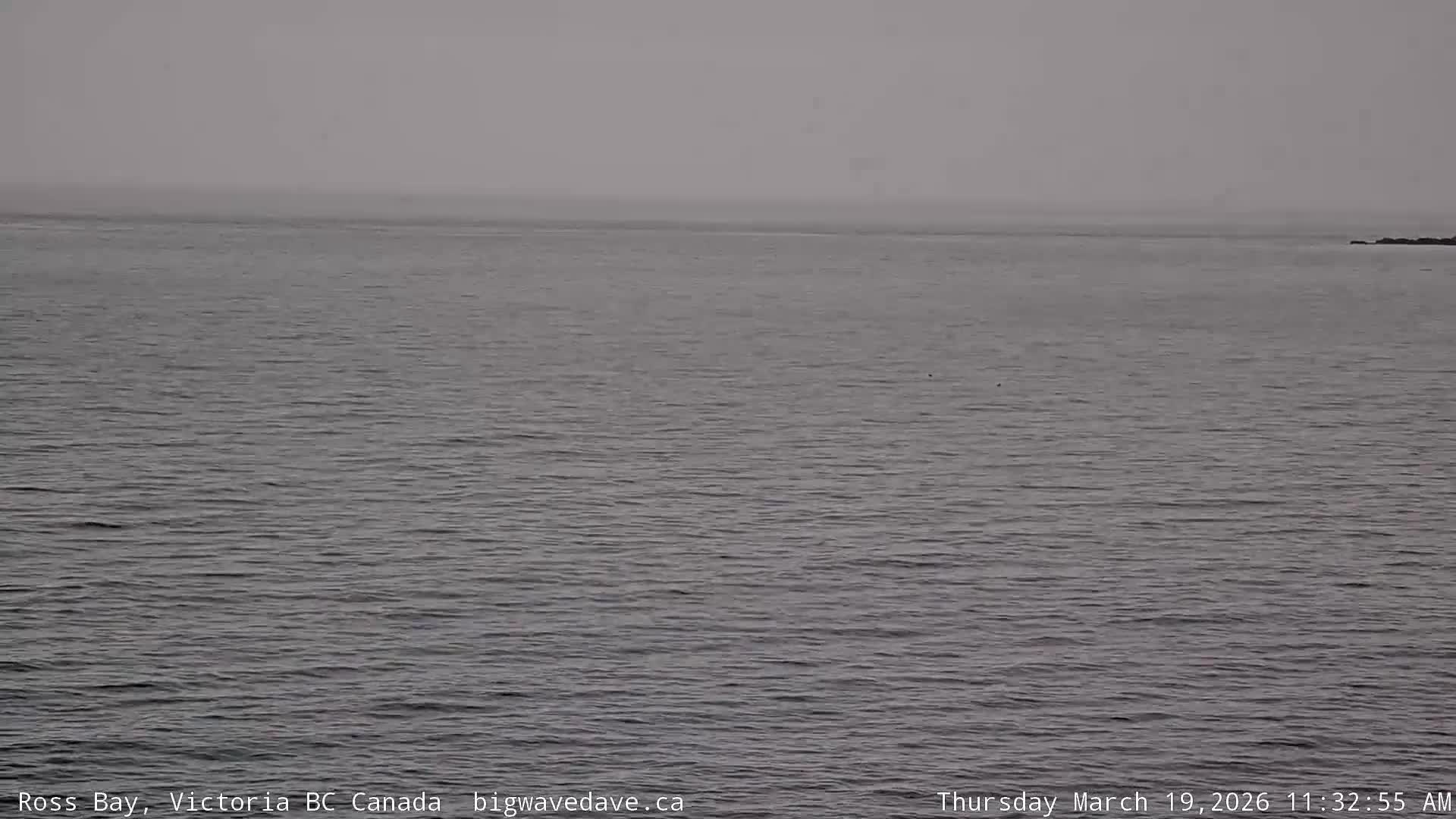 Fairfield District & Ross Bay Pasific & Trail Island Live Cam - Fairfield,  Victoria, Capital Regional District, British Columbia, Canada