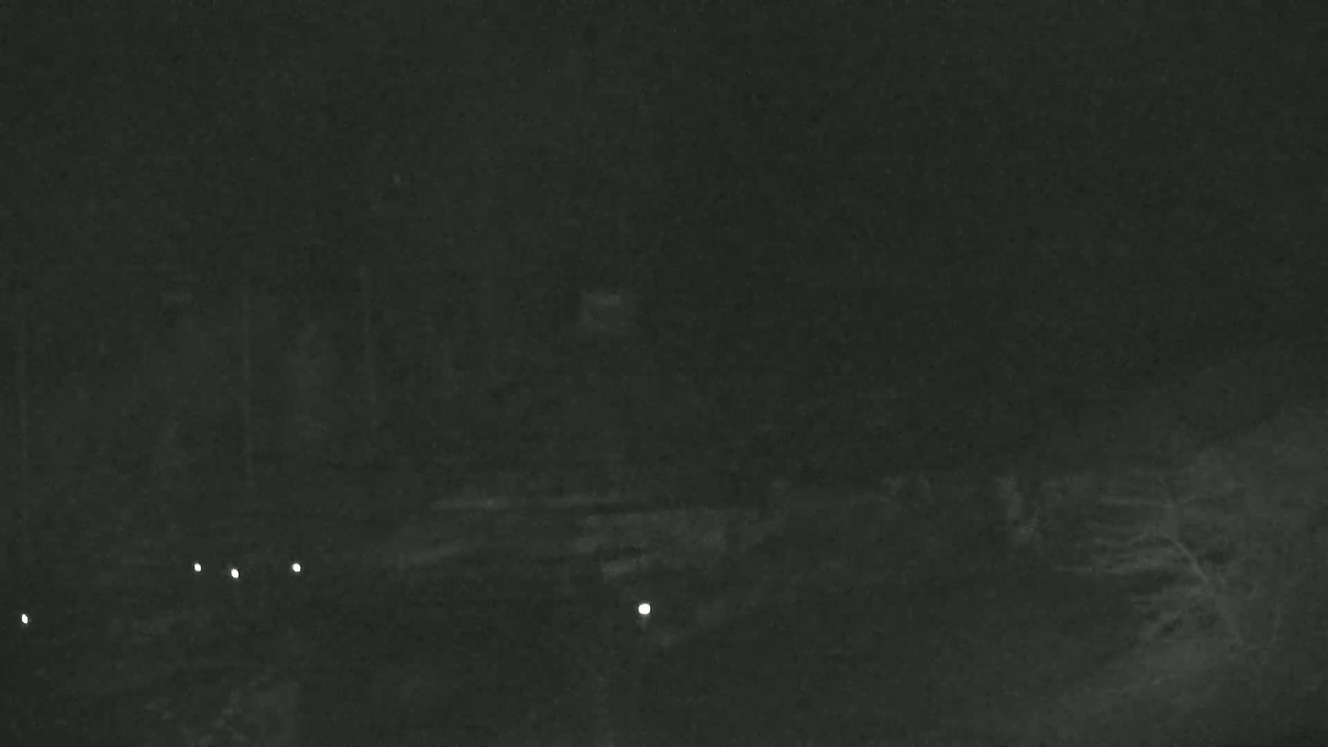 A nighttime, low-light image shows a dark, possibly wooded area with several small, bright lights visible in the lower portion of the frame.