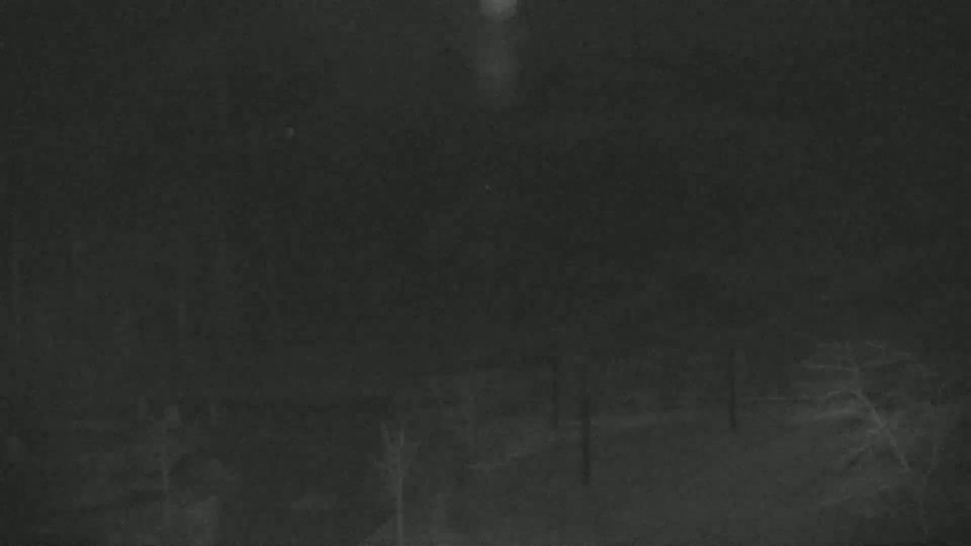 A nighttime, snowy scene shows indistinct dark shapes of trees and possibly structures.