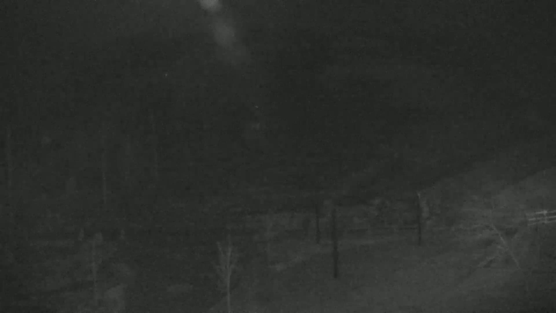 A nighttime, low-light image shows a dark, snow-covered landscape with sparsely distributed trees and indistinct structures.
