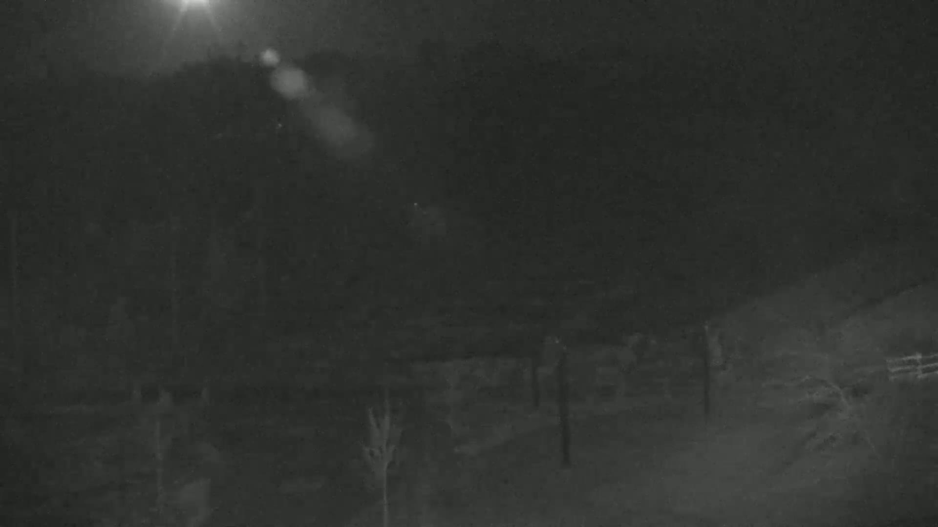 A nighttime, low-light image shows a dark, possibly wooded area with indistinct shapes and a bright light source in the upper left corner.
