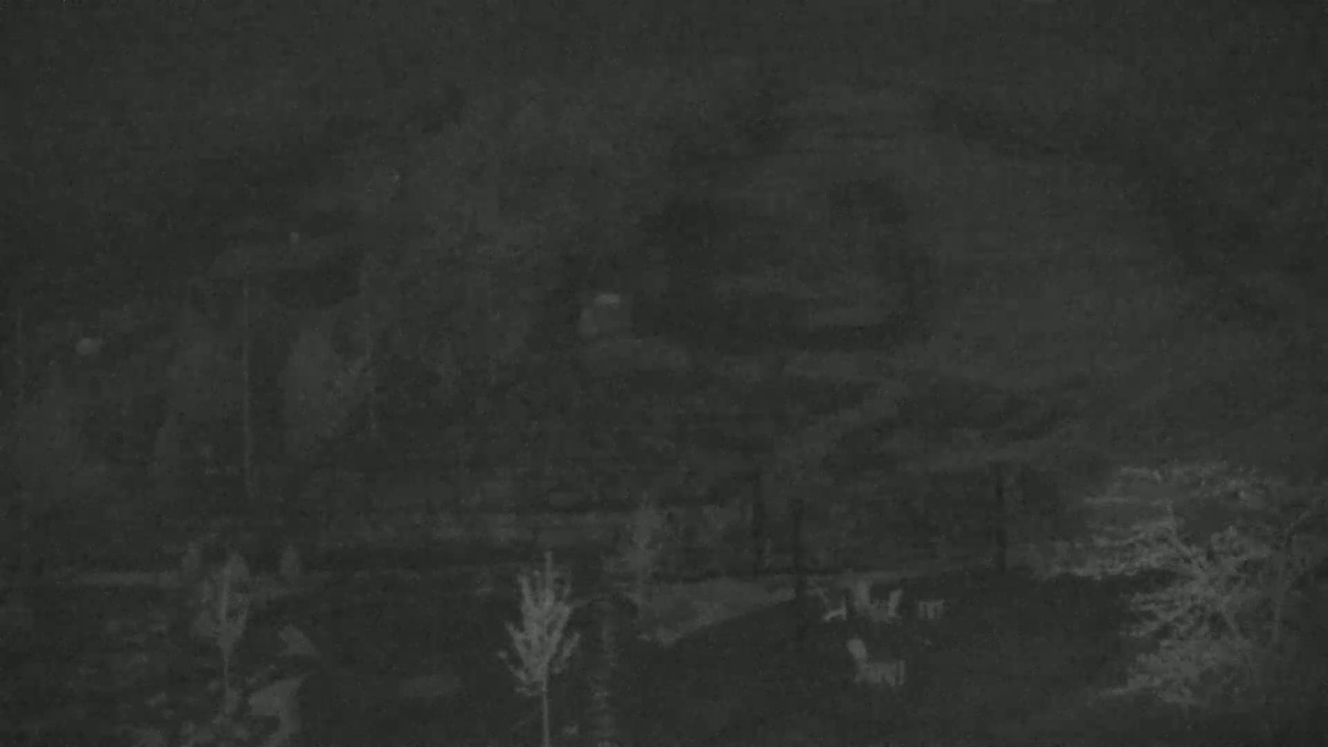 A nighttime, low-light image shows a dark yard with trees and shrubs, possibly some outdoor furniture, under a cloudy sky.