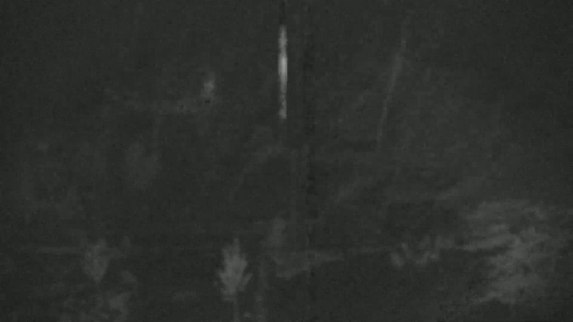 A blurry, dark nighttime image shows indistinct shapes of vegetation and a bright vertical line in the center.