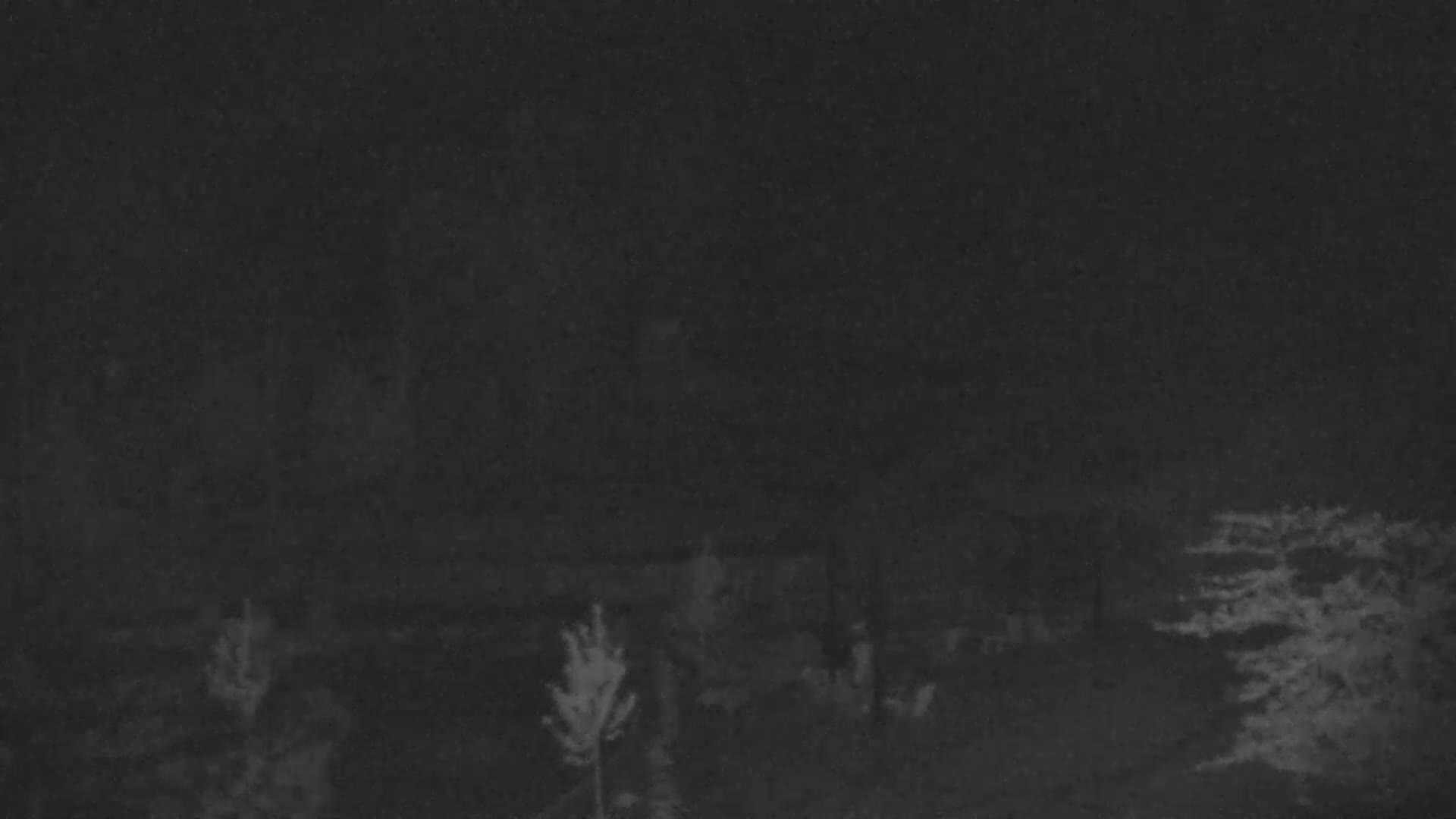 A low-light outdoor image shows dark, indistinct shapes of vegetation and possibly structures at night.