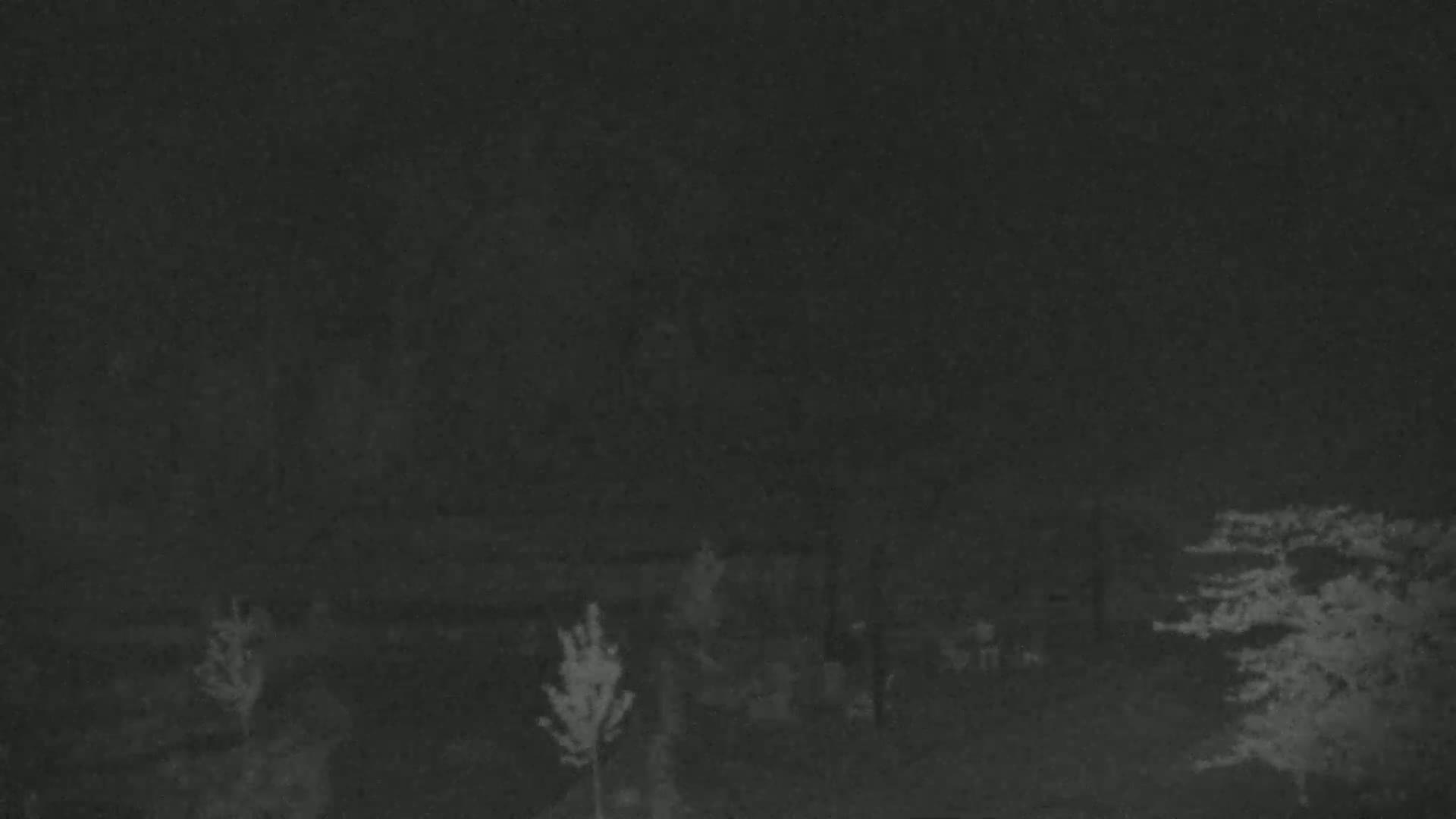 A dark, nighttime scene shows several shadowy figures and small trees in a sparsely vegetated area.