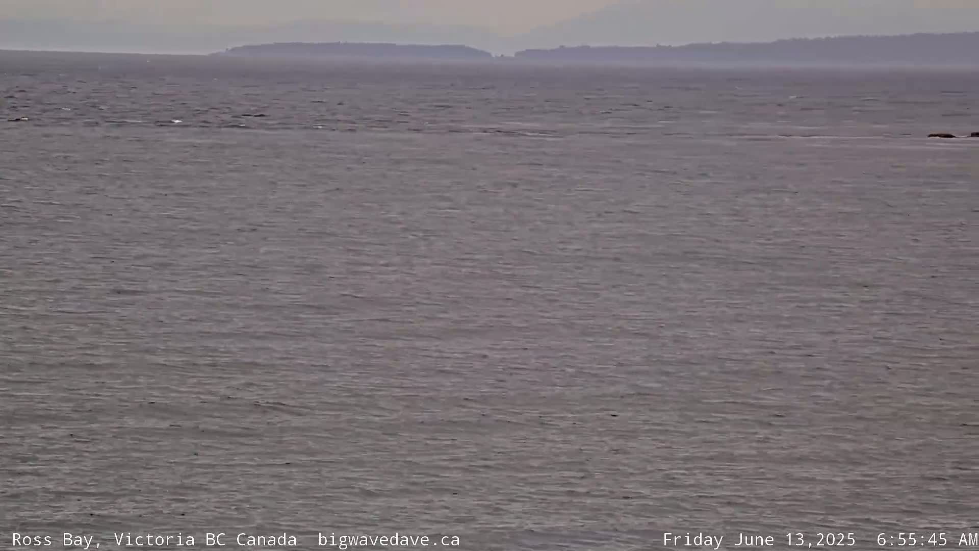 A calm, gray body of water stretches to a distant, hazy shoreline under an overcast sky.