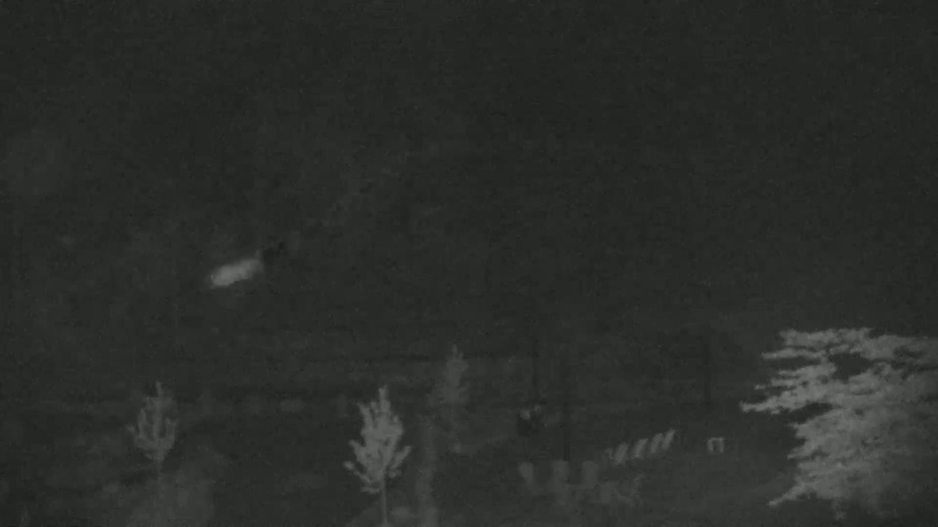 Blue Mountain Village Base Ski Slope and Ropeway Live Cam - Collingwood, Blue Mountains, Simcoe, Ontario, Canada