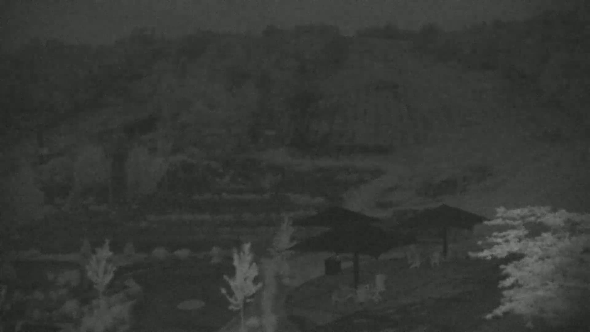 A nighttime, overcast scene shows two dark umbrellas near some shrubs and trees in front of a blurry background.