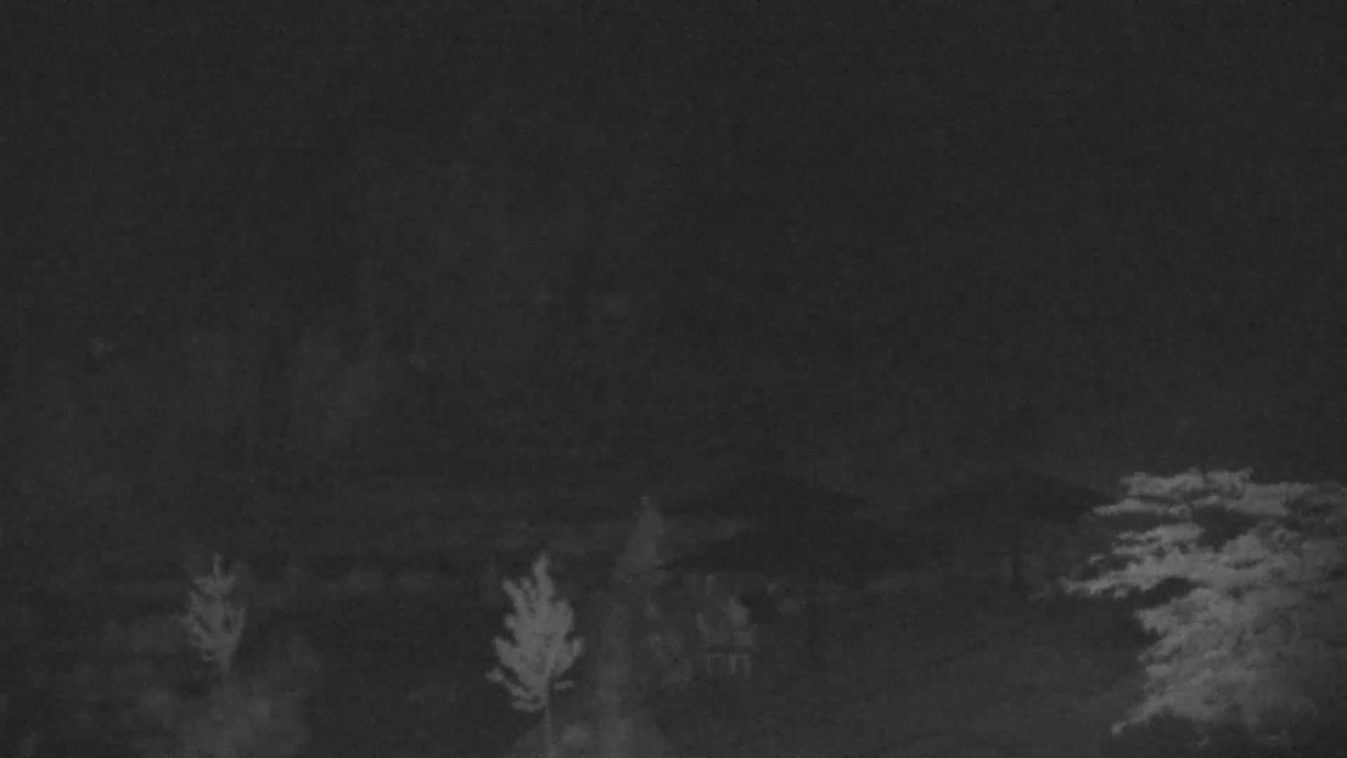 A nighttime outdoor scene shows a dimly lit area with several trees and what appears to be a gathering of people or objects under a dark, cloudy sky.