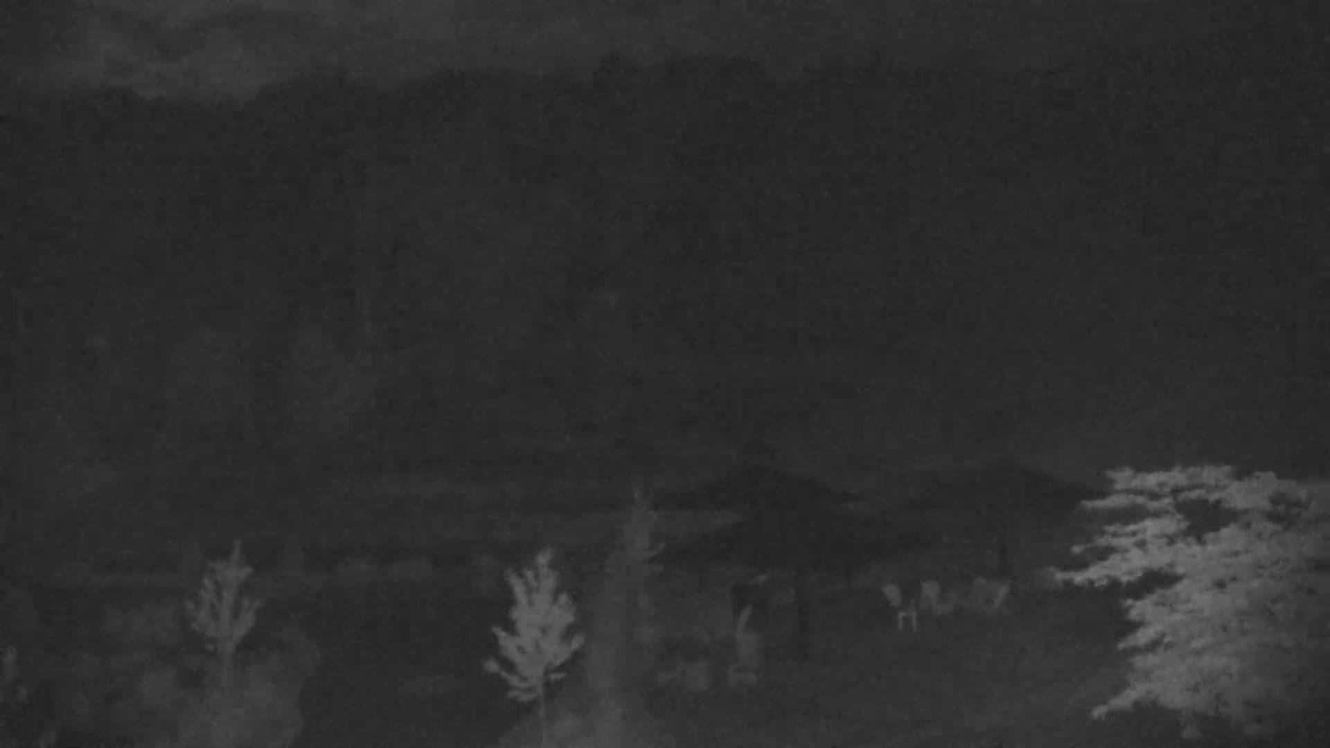 A nighttime, low-light image shows several people gathered around a structure outdoors near some trees.