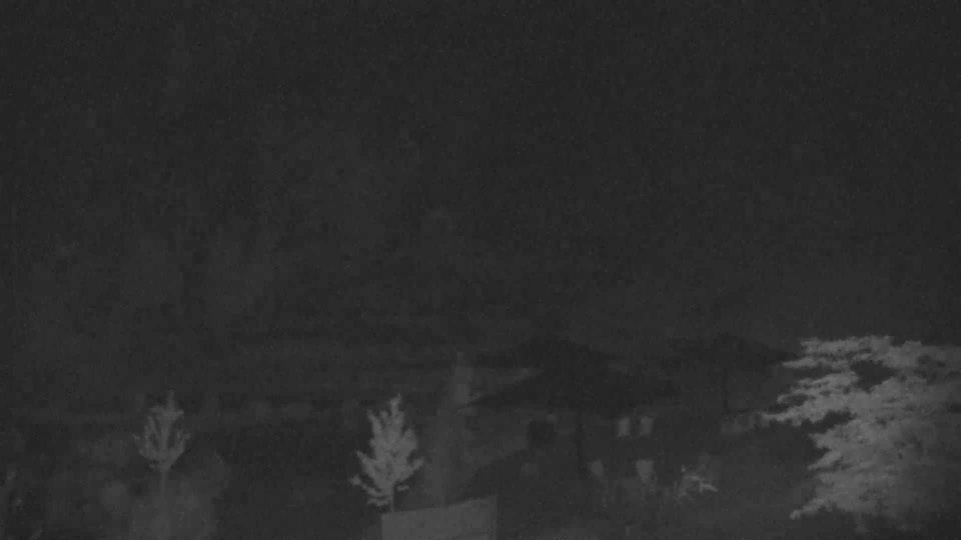 Under a dark, nighttime sky, several small trees and a covered structure are visible in a dimly lit outdoor space.