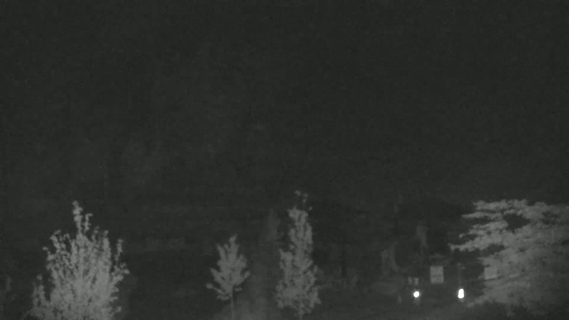 Under a dark, nighttime sky, several small trees and a covered structure are visible in a dimly lit outdoor space.