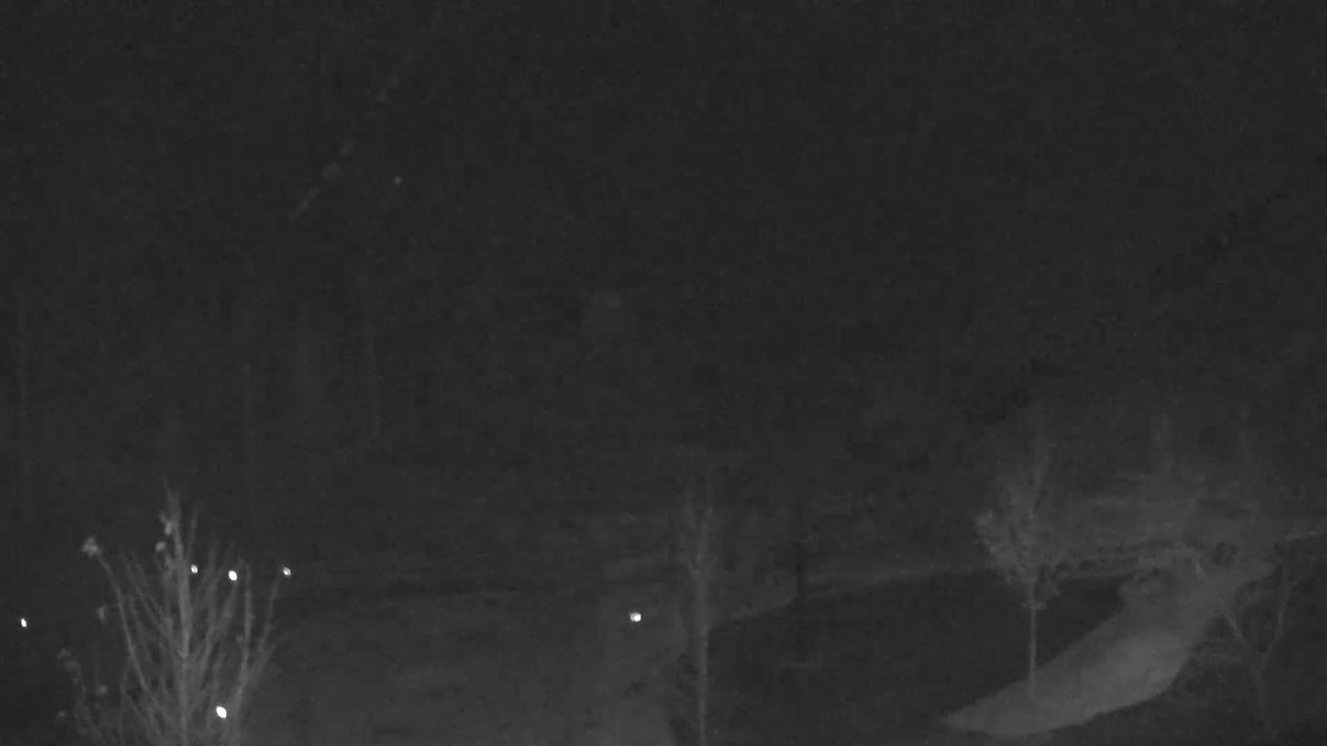 Blue Mountain Village Base Ski Slope and Ropeway Live Cam - Collingwood, Blue Mountains, Simcoe, Ontario, Canada