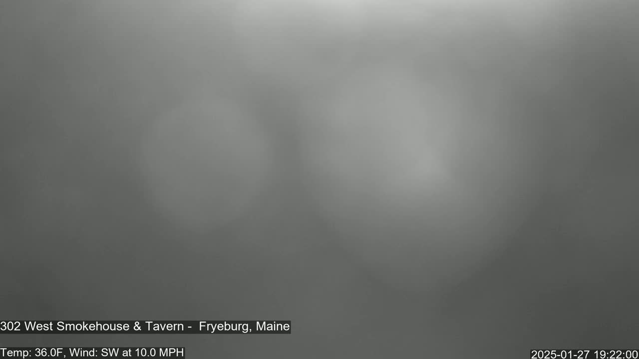 A blurry, gray image shows a foggy or hazy outdoor scene with a southwest wind at 10 mph and a temperature of 36 degrees Fahrenheit.