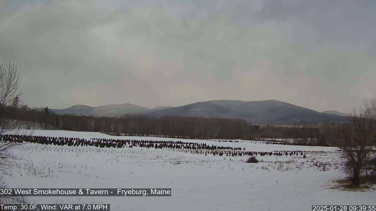 Fryeburg Conway Common Landstate Forest Live Cam- Maine, USA