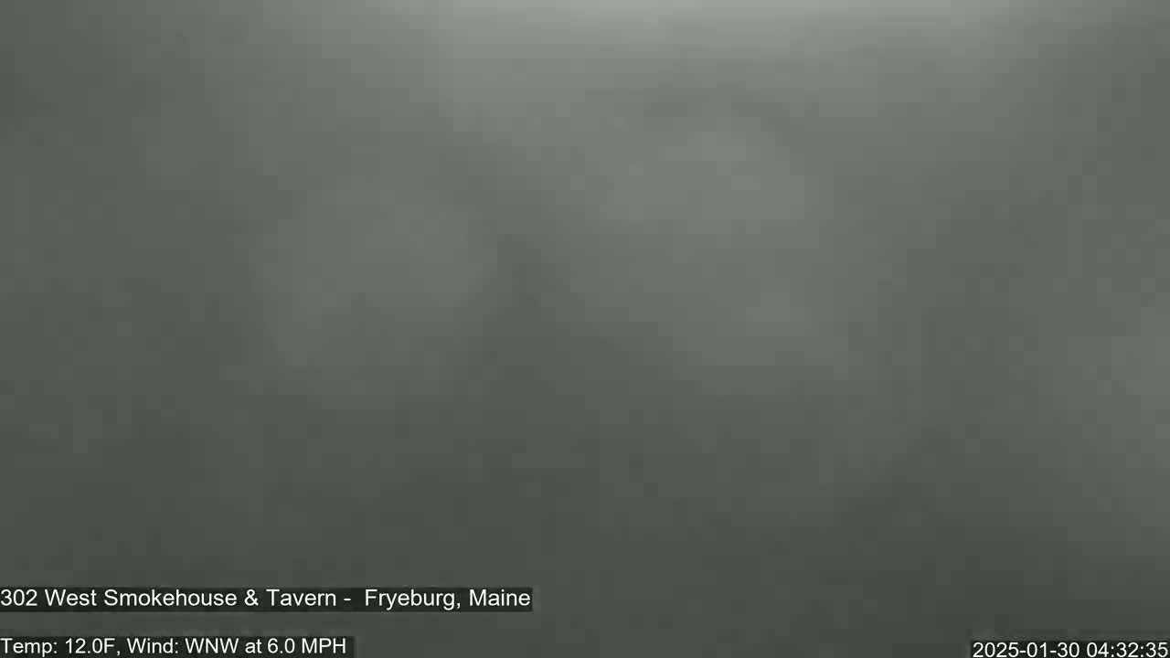 A blurry, gray image shows an overcast outdoor scene.