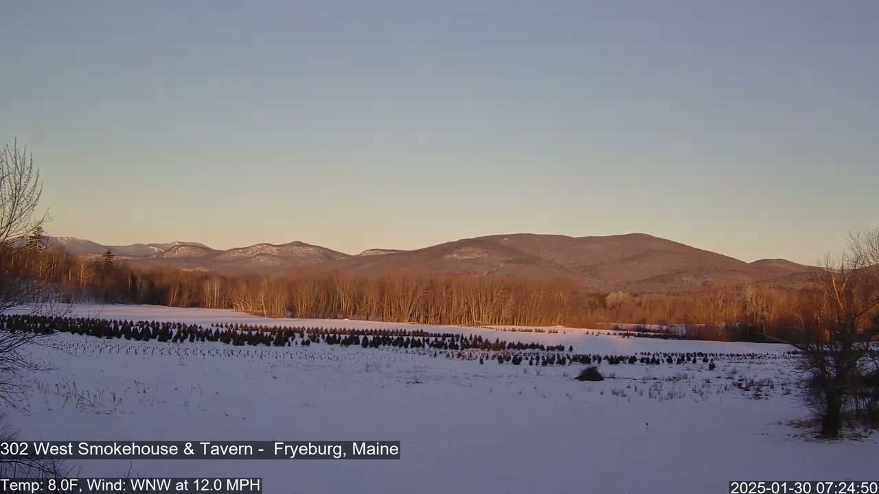 A snow-covered field of evergreen trees stretches towards distant, softly lit mountains under a clear, pale sky.
