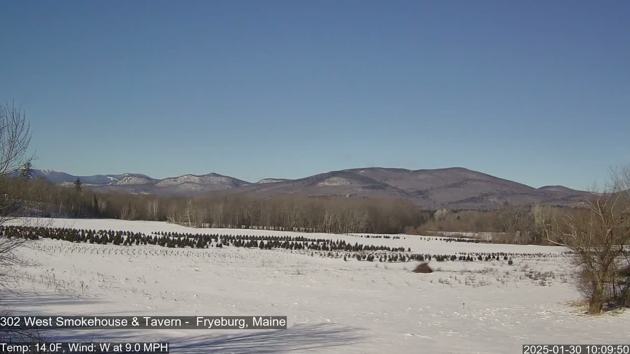 A snow-covered field with a row of evergreen trees sits in front of a range of mountains under a clear blue sky.
