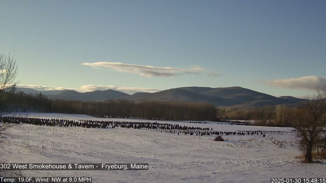 A snow-covered field of small evergreen trees stretches towards a line of dark mountains under a mostly clear, light blue sky.