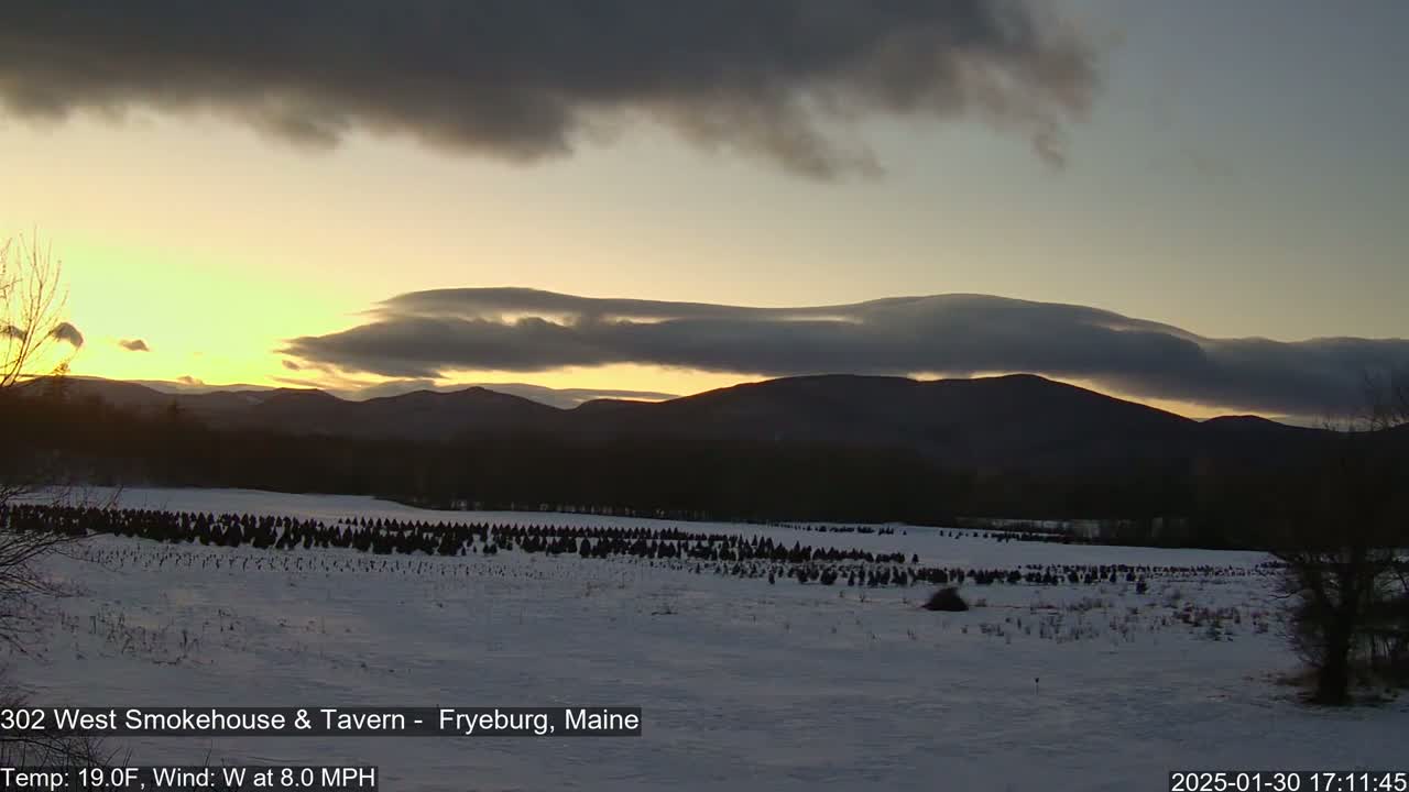 A snow-covered field of evergreen trees sits before a mountain range at sunset under a mostly cloudy sky.