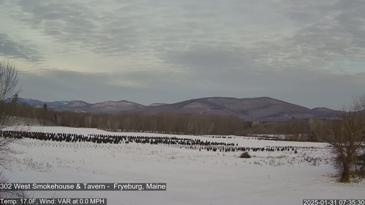A snow-covered field of small evergreen trees sits before a line of distant mountains under a cloudy sky.