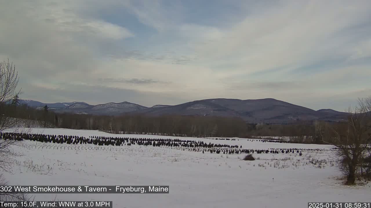 A snow-covered field of Christmas trees stretches towards distant, snow-dusted mountains under a mostly cloudy sky.
