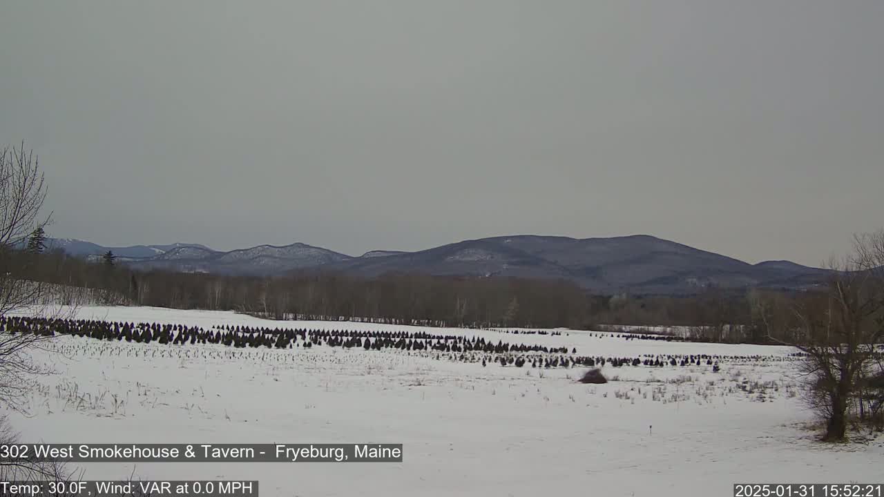 A snow-covered field of evergreen trees sits in front of a range of dark, snow-dusted mountains under an overcast sky.