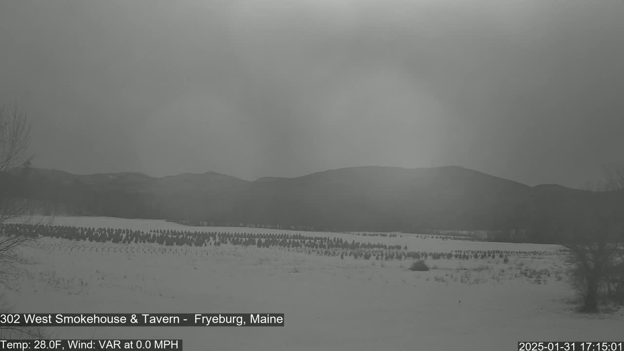 A snow-covered field of evergreen trees stretches towards hazy mountains under an overcast sky.
