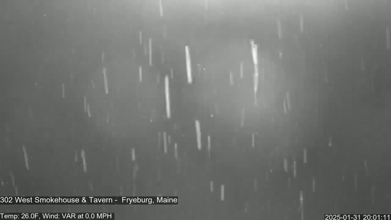 Snow is falling during a calm, cold night.