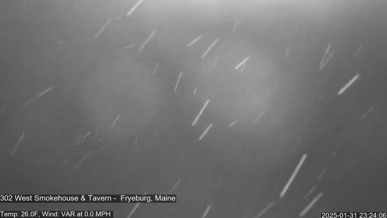 Snow is falling in a dark, nighttime scene.