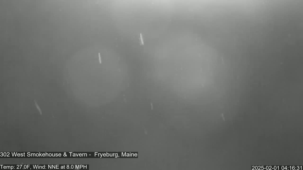 A nighttime, snowy scene with light snowfall and a north-northeast wind.