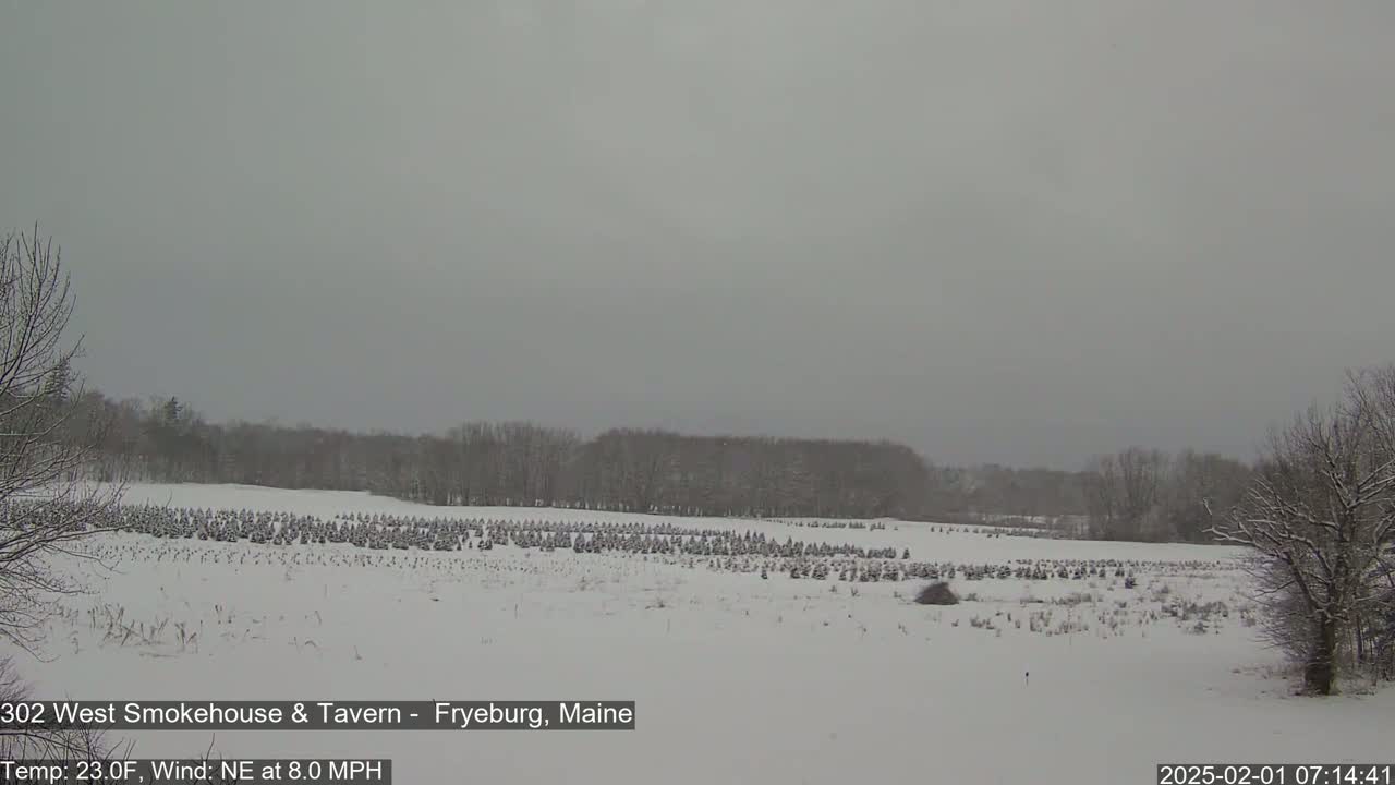 A snow-covered field of Christmas trees is visible under a gray, overcast sky.