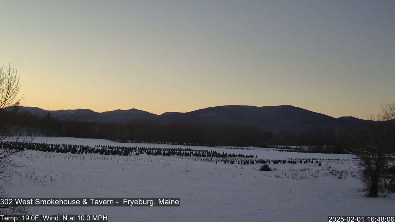 A snow-covered field with rows of small evergreen trees stretches towards a mountain range under a twilight sky.