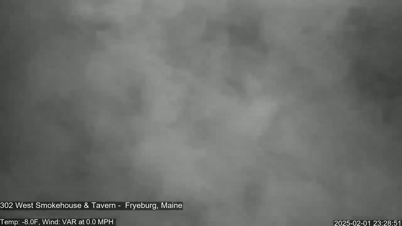 A blurry, gray image shows an overcast night with a temperature of -8 degrees Fahrenheit and no wind.