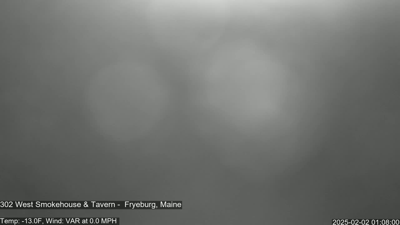 A blurry, gray image shows an overcast, foggy scene at -13°F with no wind.