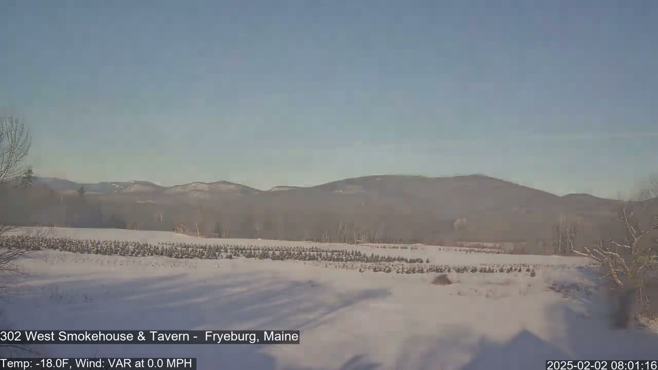 A snow-covered field of small evergreen trees stretches towards distant, hazy mountains under a clear, bright sky.