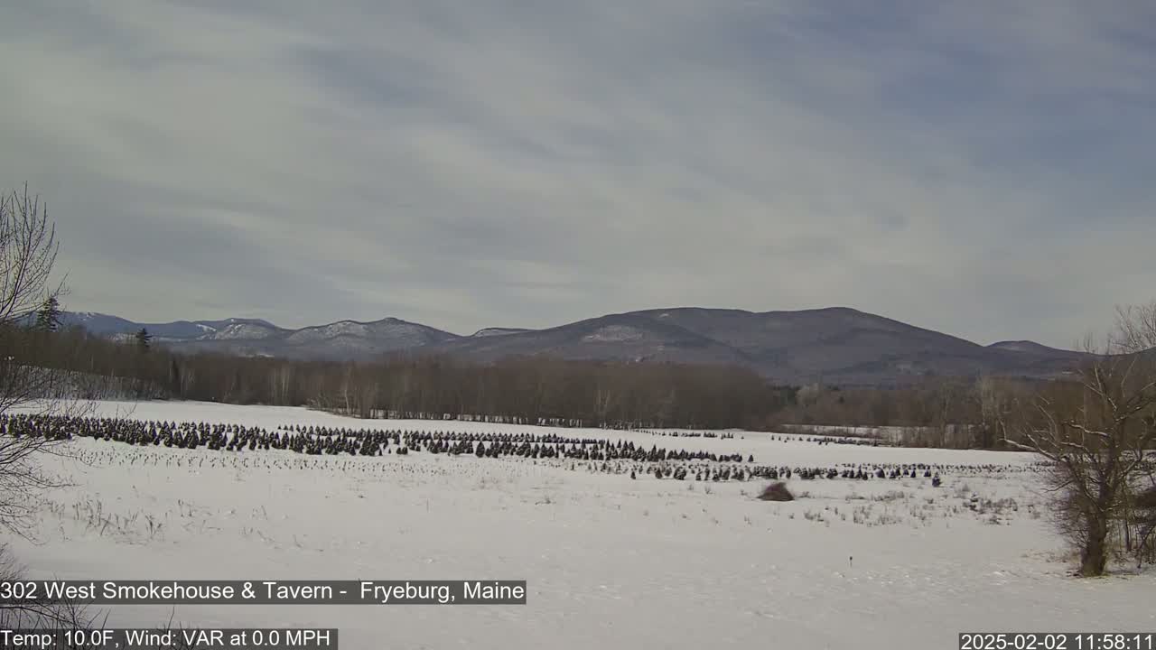 A snow-covered field with numerous small evergreen trees stretches towards a range of distant, bare mountains under a mostly cloudy sky.
