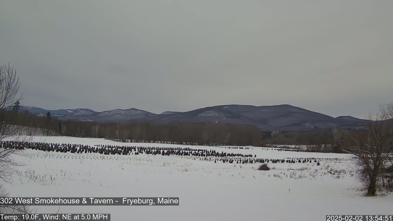 A snow-covered field of evergreen trees stretches out before a range of dark, snow-dusted mountains under a gray sky.