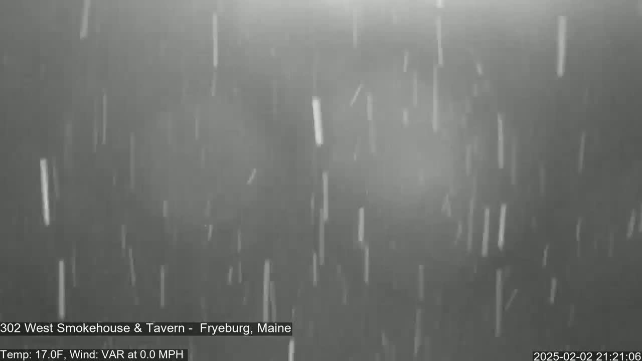 Snow is falling in a dark, gray outdoor setting.