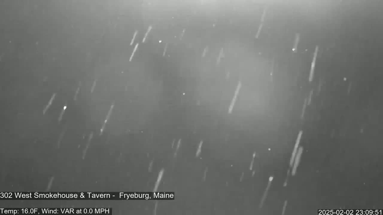 Snow is falling in the dark.