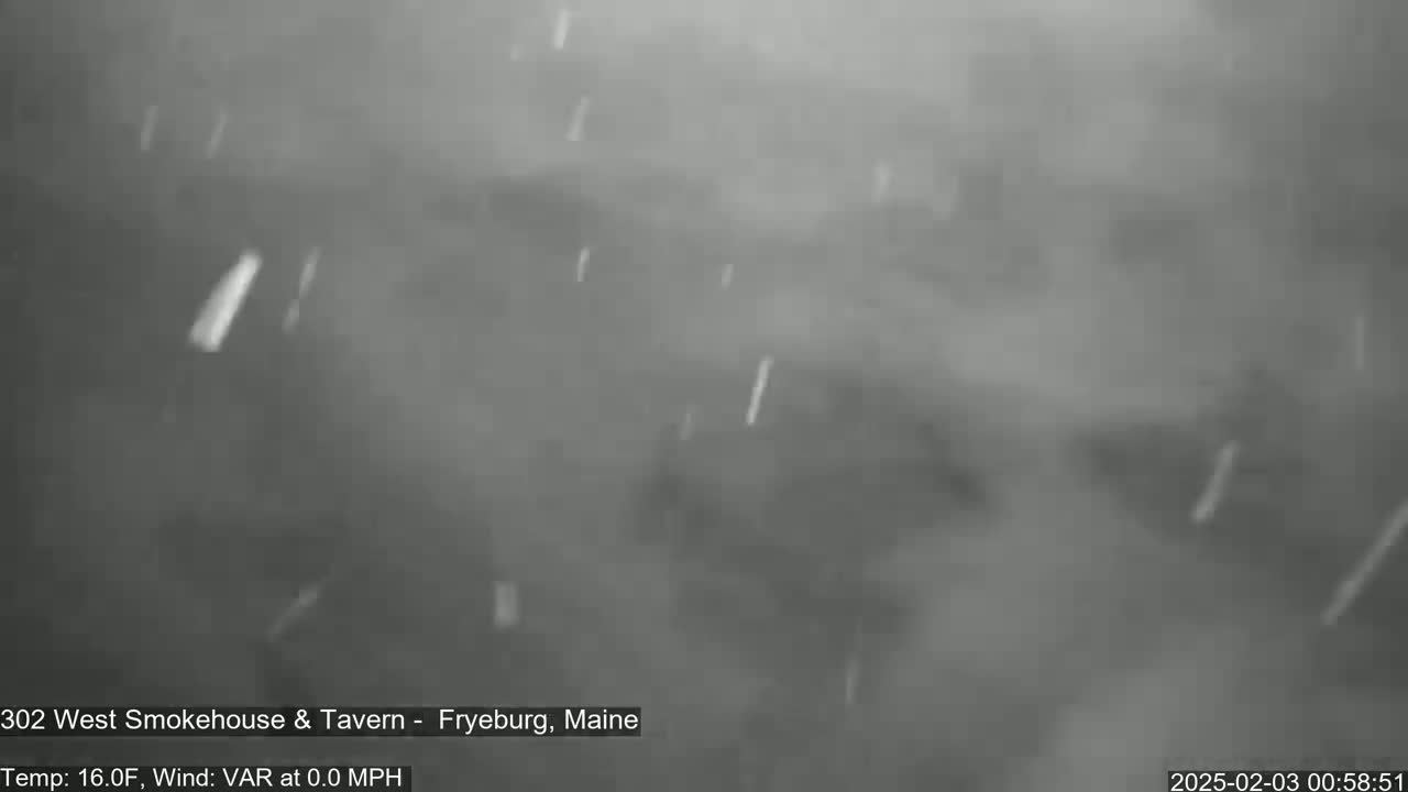 Snow is falling in a blurry, gray outdoor scene.