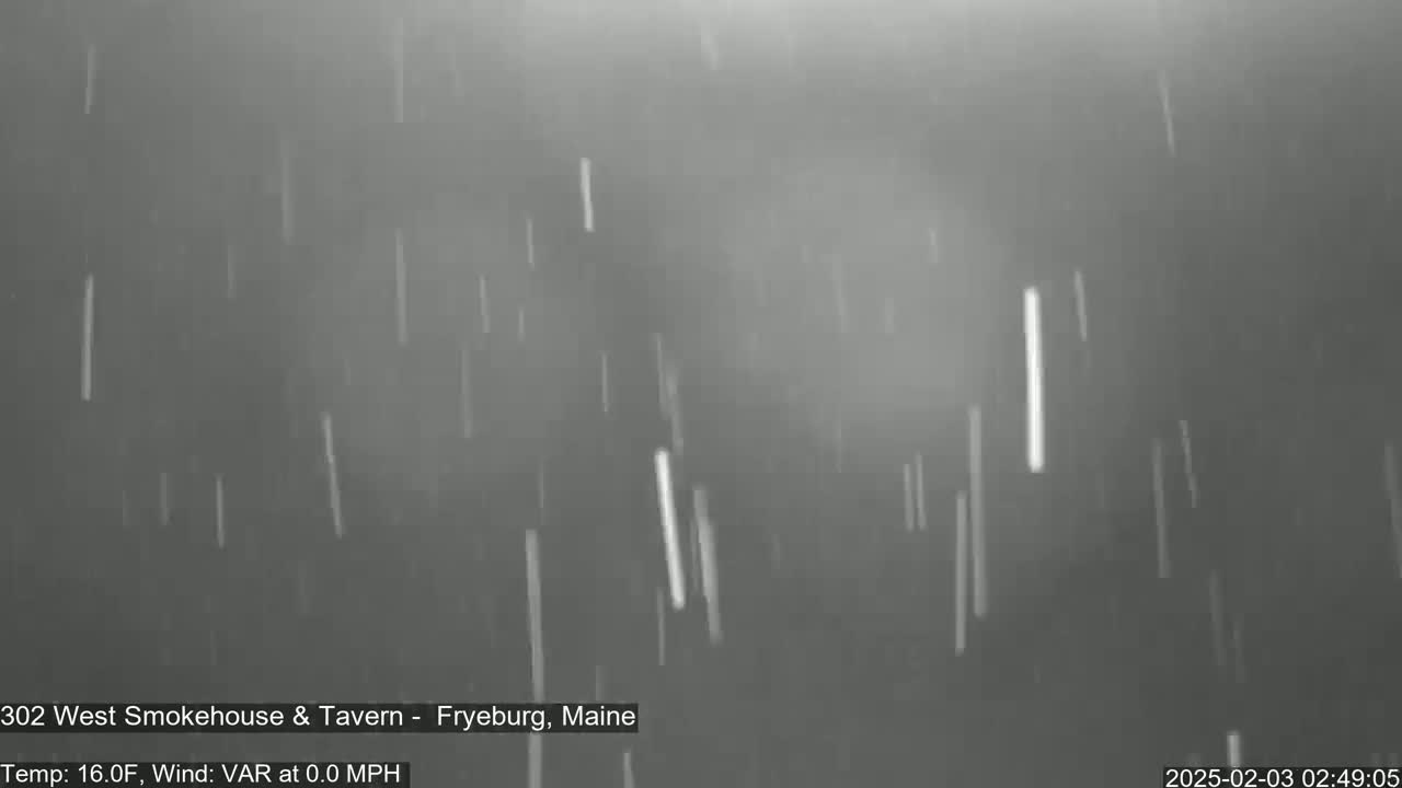 Snow is falling in a dark, gray, outdoor setting.