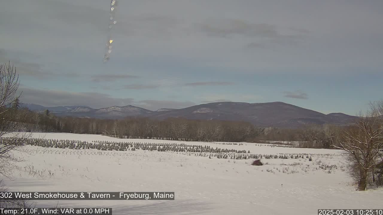 A snow-covered field of small evergreen trees stretches towards a line of distant, snow-dusted mountains under a mostly clear, light gray sky.