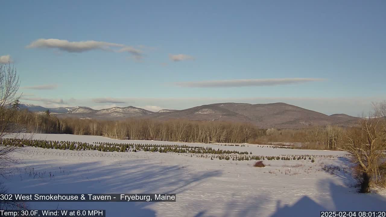 A snow-covered field of small evergreen trees stretches towards distant mountains under a mostly clear, blue sky.