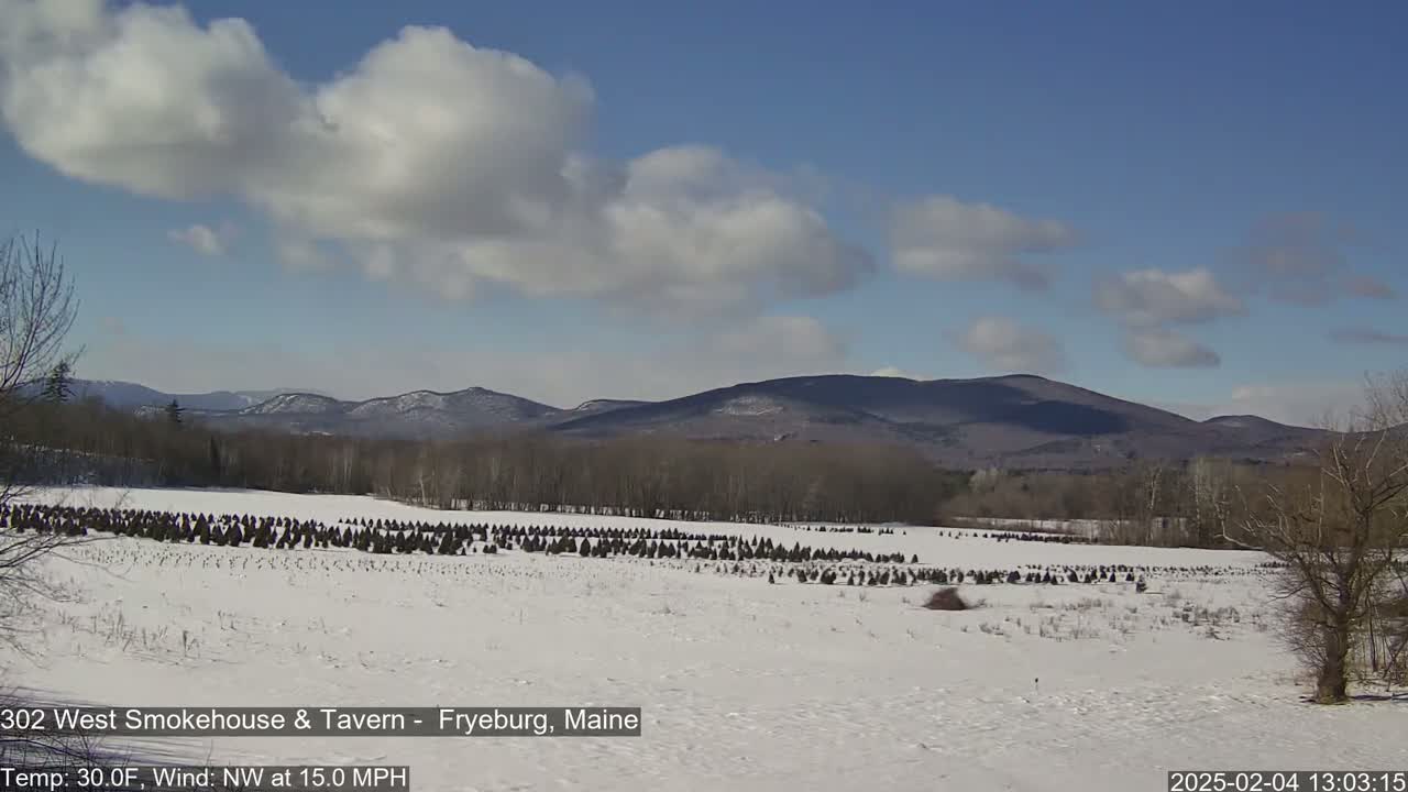 A snow-covered field with a row of evergreen trees in the foreground, mountains in the background under a partly cloudy blue sky.