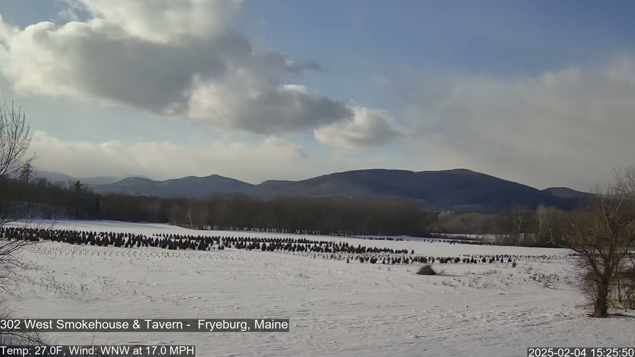 A snow-covered field with rows of small evergreen trees stretches towards distant mountains under a partly cloudy sky.